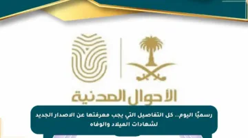 رسميًا اليوم.. كل التفاصيل التي يجب معرفتها عن الإصدار الجديد لشهادات الميلاد والوفاة